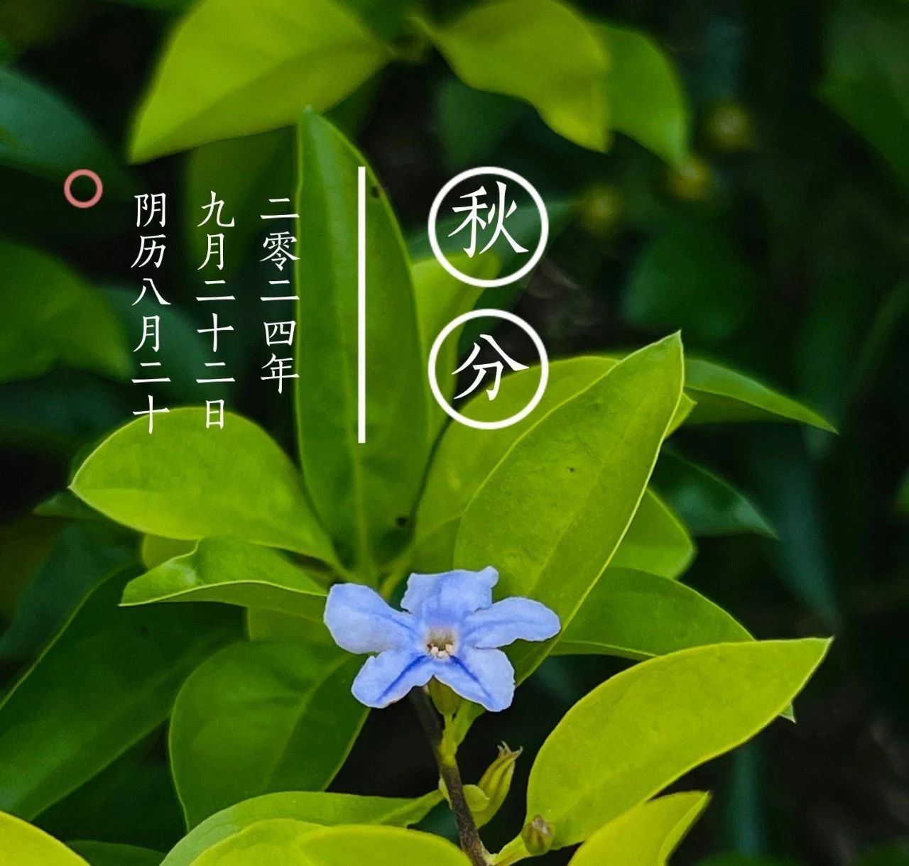 微信圖片_20240918150549